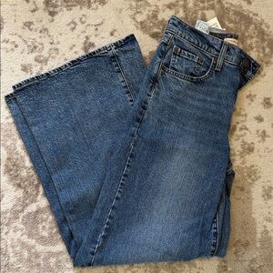 NWT Levi's High-Rise Wide Leg Jeans in Blue Denim 27 x 32